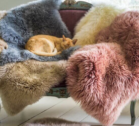 cosy soft and colourful sheepskin rugs
