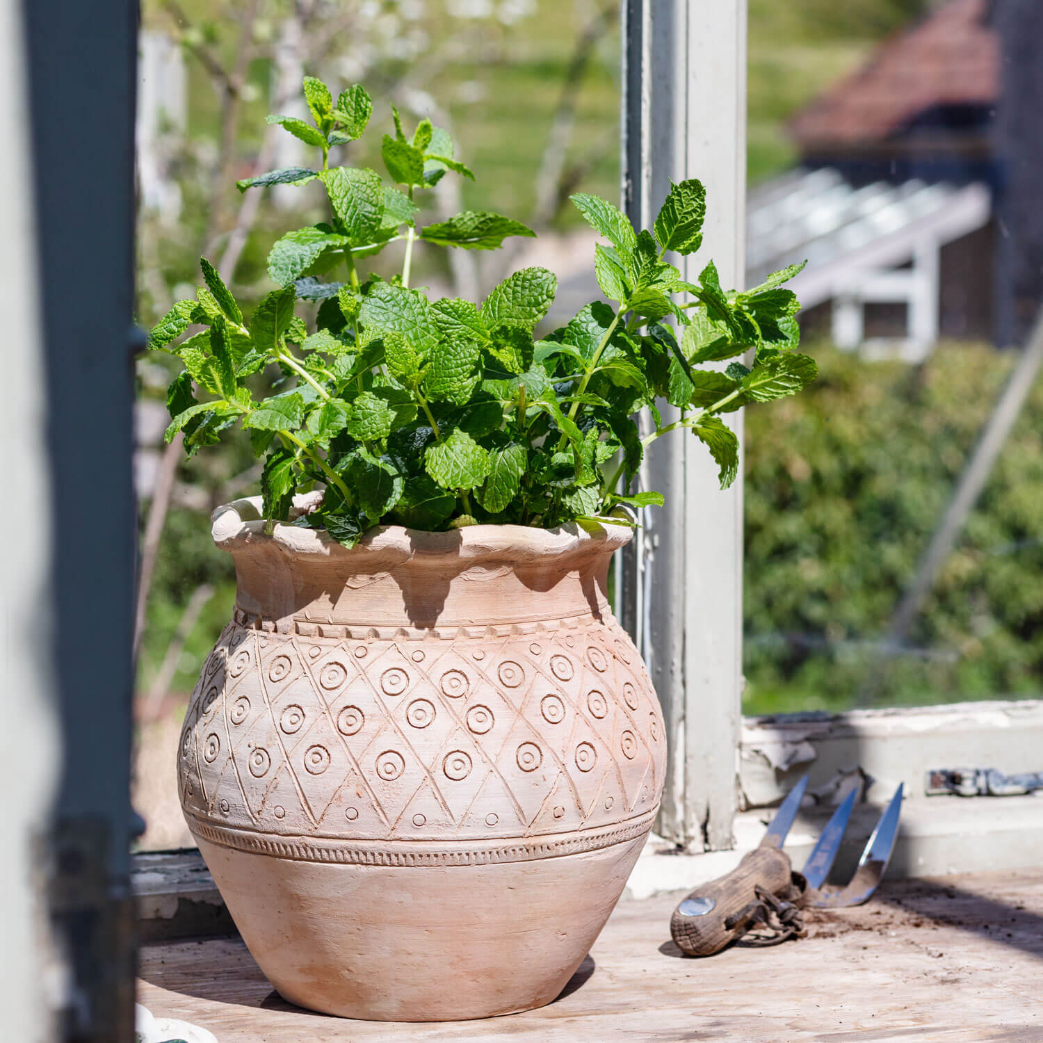 Read more about Graham and green anya clay urn plant pot