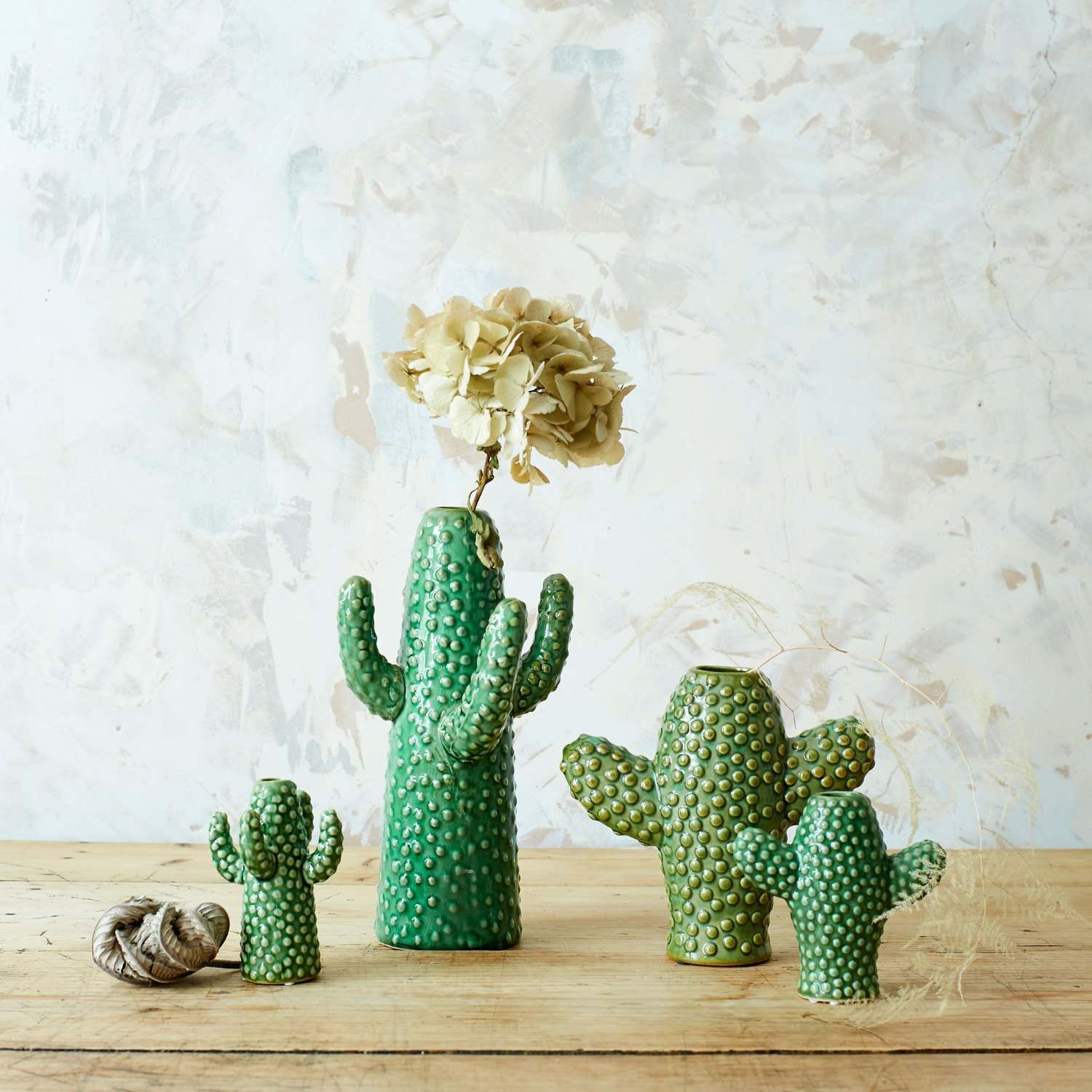 An image of Cactus Vases