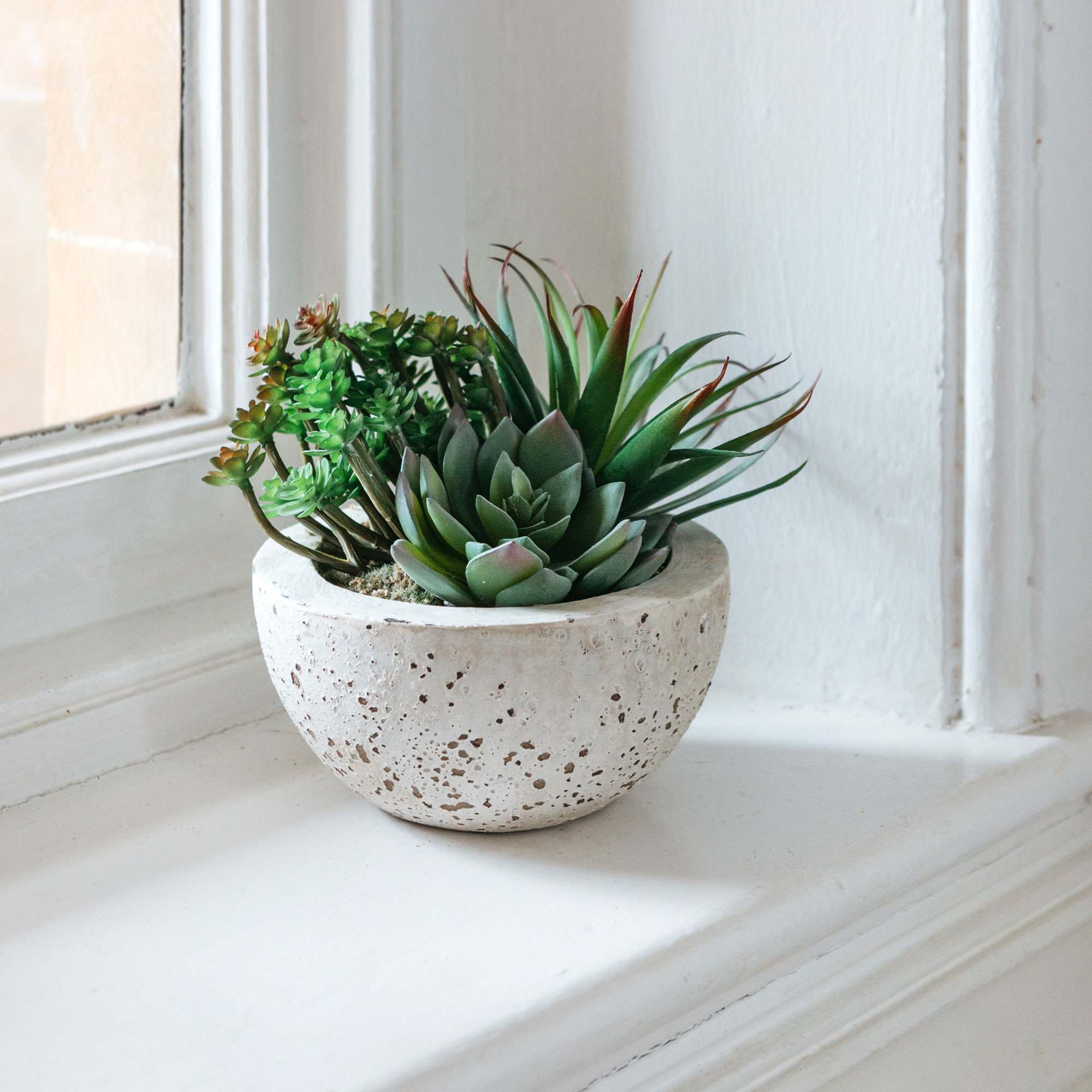 Photo of Graham and green faux succulents bowl