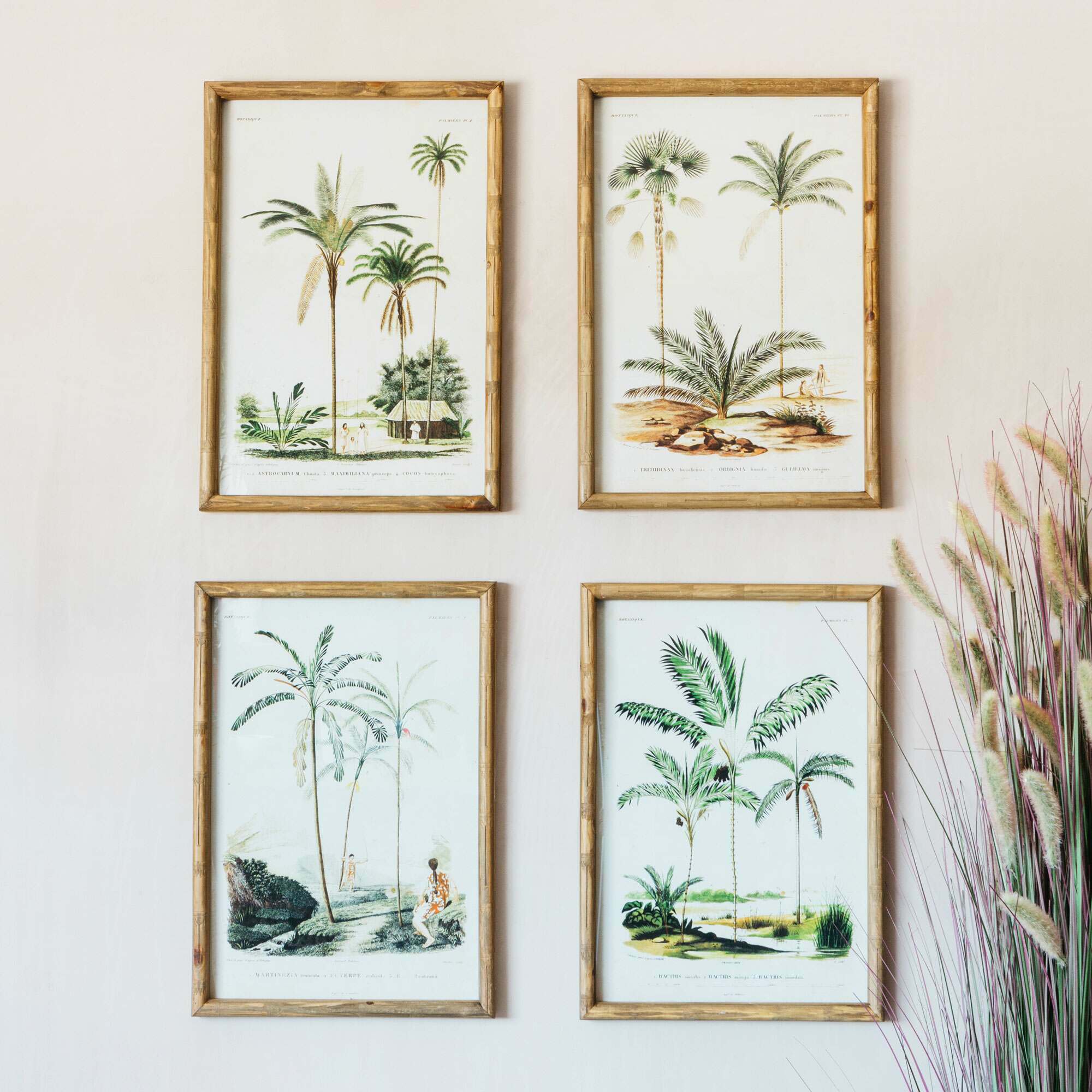 Read more about Graham and green set of four palm tree prints