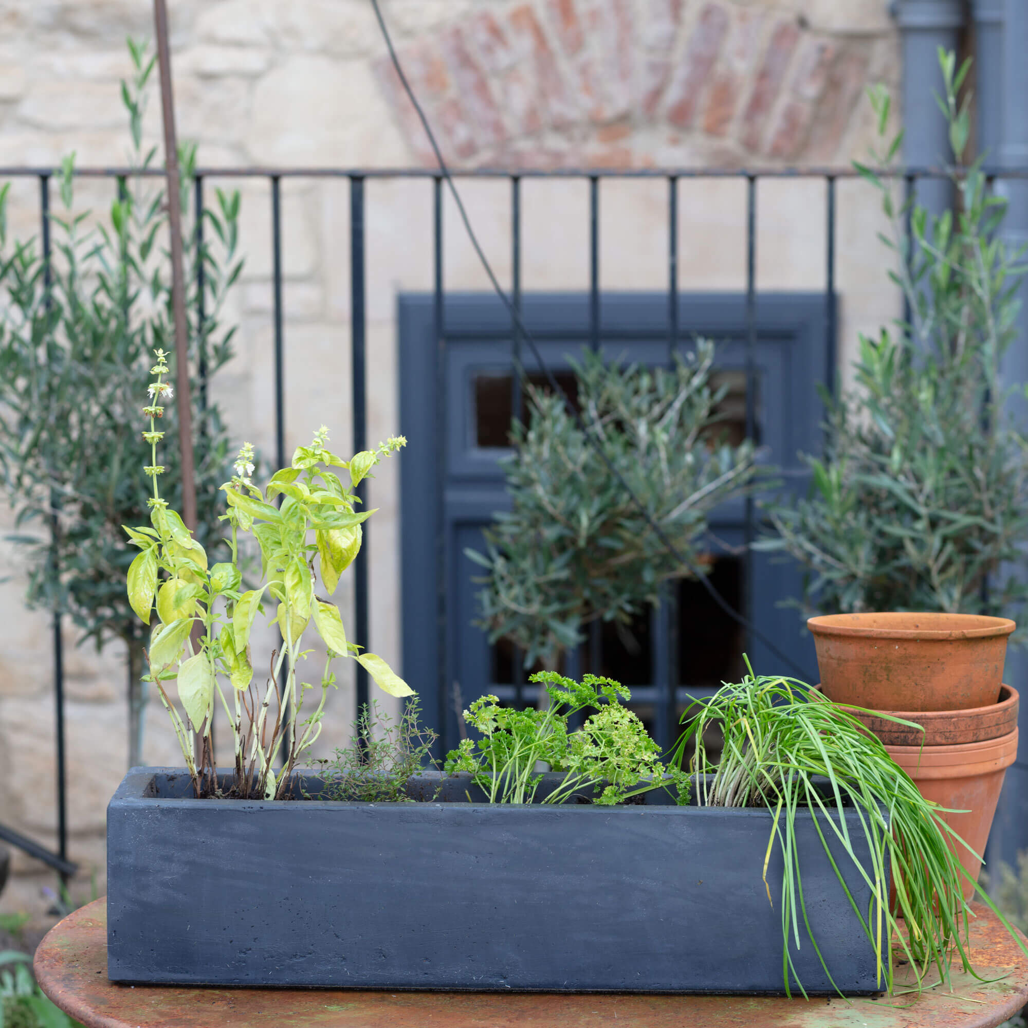 Photo of Graham and green grey oblong planter
