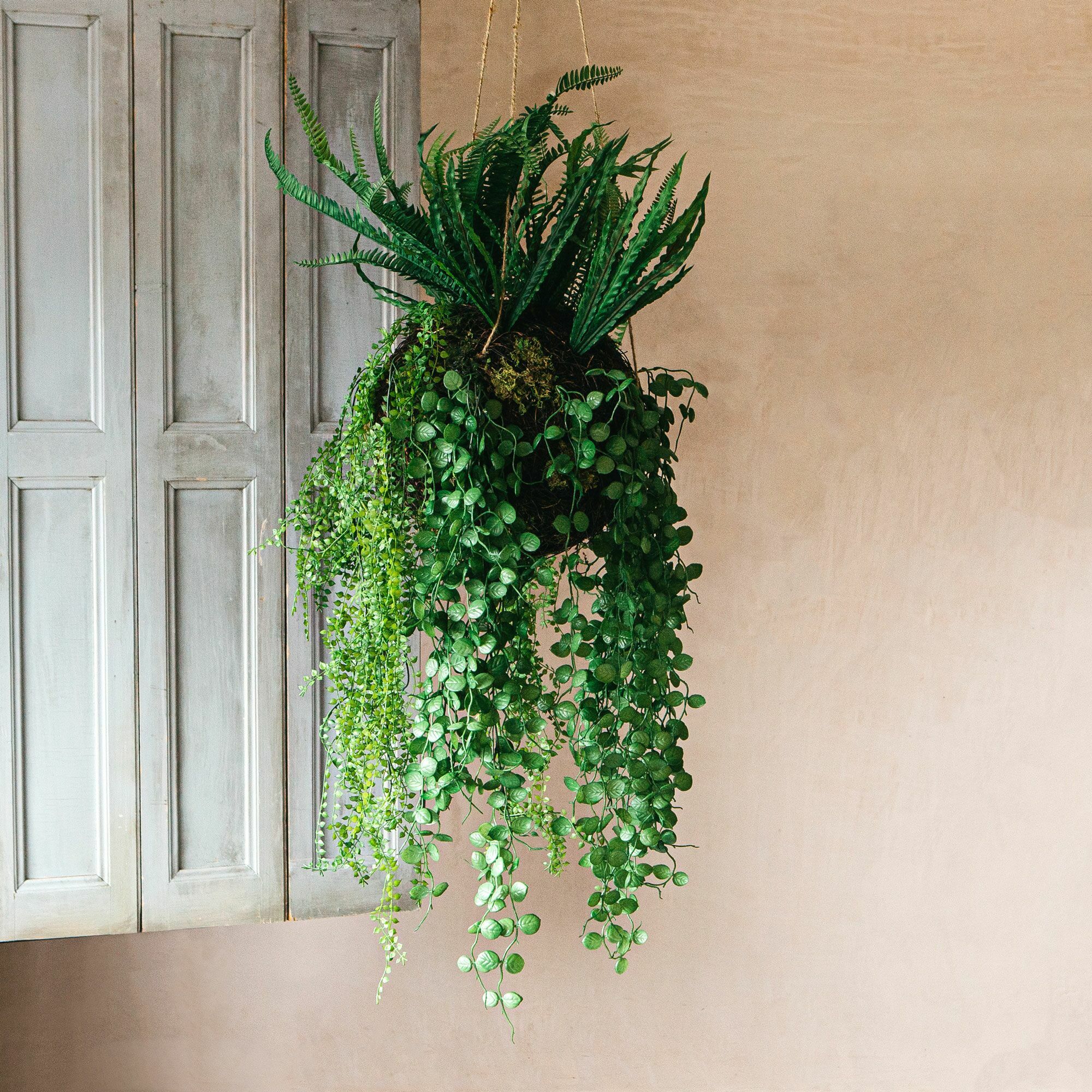Read more about Graham and green faux hanging boston fern