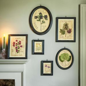 Framed Quercifolia Pressed Flowers