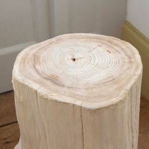 Wooden Log Stool