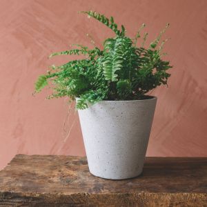 Light Grey Concrete Plant Pots