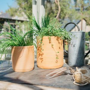 Small Terracotta Clay Plant Pot