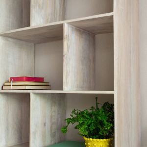 Eckley Shelving Unit with Storage