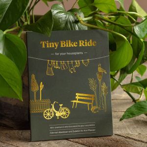 Tiny Bike Plant Decoration