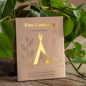 Tiny Camping Plant Decorations