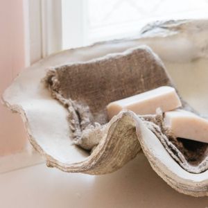 Large Resin Clam Shell