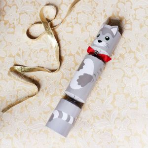 Kitty Christmas Cracker For Your Pet
