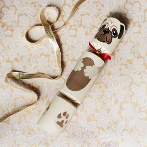 Doggy Christmas Cracker For Your Pet