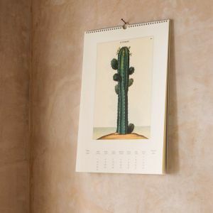 Succulents Calendar 2020