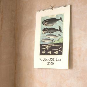 Curiosities Calendar 2020