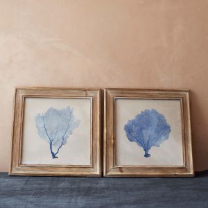 Set Of Two Blue Coral Framed Pictures