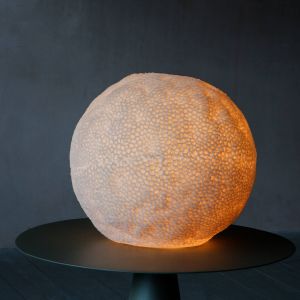 Large Coral Lamp