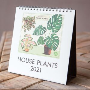 House Plant 2021 Desk Calendar