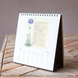 Herbarium 2021 Desk Calendar