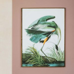 Blue Heron Print