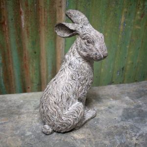Rosie Grey Sitting Rabbit