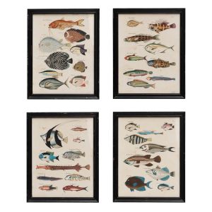 Set of Four Multicolour Fish Prints