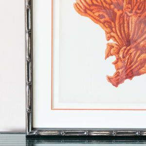 Framed Orange Coral Print