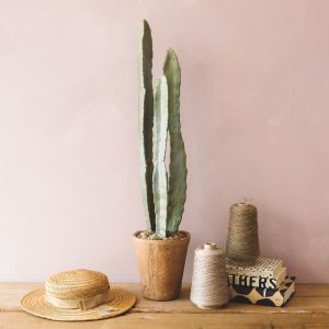 Faux Totem Cactus in Terracotta Pot