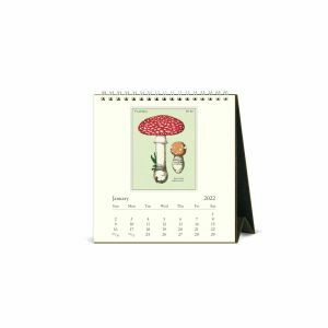 Mushroom 2022 Desk Calendar