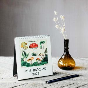 mushrooms desk calendar