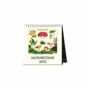Mushroom 2022 Desk Calendar