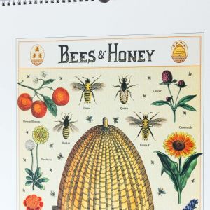 Bees and Honey 2022 Wall Calendar