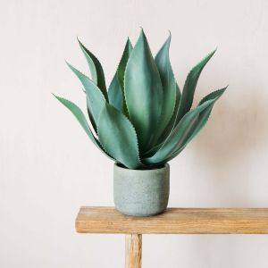 Faux Aloe in Green Pot