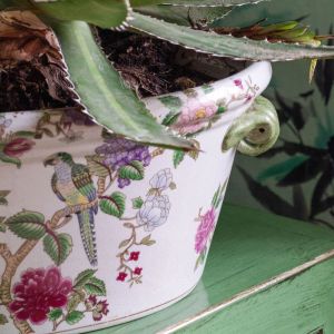 Flowers and Parrots Plant Pot