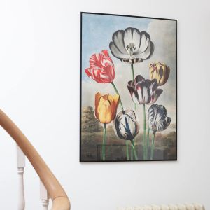 Large Framed Tulips Print