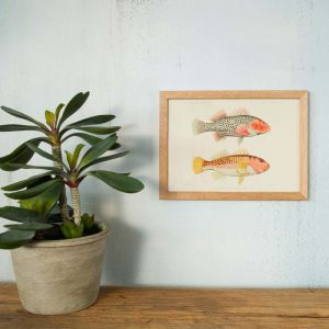 Framed Rectangular Spotty Fish Print