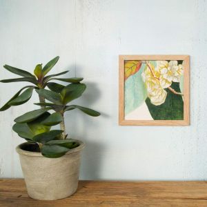 Framed Botanical Flower Print 