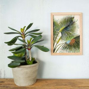 Framed Rectangular Palm Leaves Print 