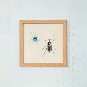 Framed Square Blue Insects Print