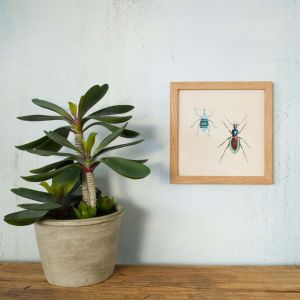 Framed Square Blue Insects Print 
