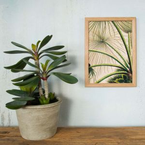 Framed Rectangular Abstract Leaves Print 