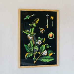 Small Framed Tea Print