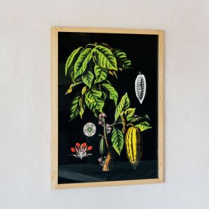 Small Framed Cacao Print