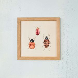 Framed Square Three Beetles Print