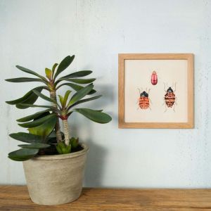 Framed Square Three Beetles Print 