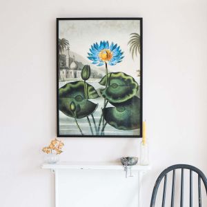 Small Framed Blue Water Lily Print