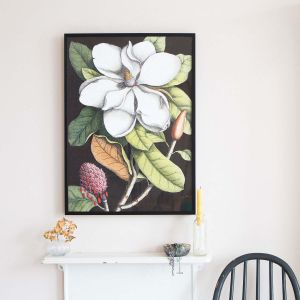 Small Framed Blooming Magnolia Print