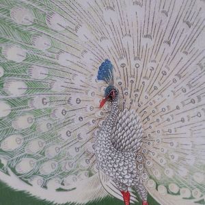 Framed Peacock Print