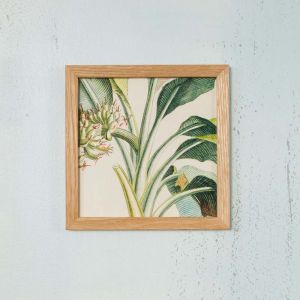 Framed Square Botanical Plant Print