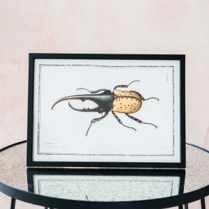 Small Framed One Bug Print